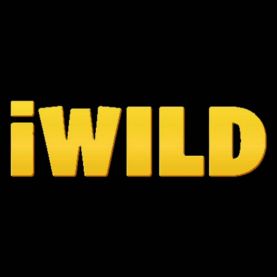 iWild Casino oferta gier
